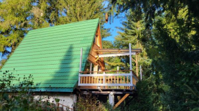Finnhütte zwischen Wald und See